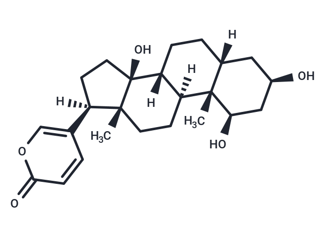 1beta-Hydroxybufalin