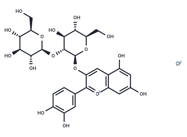 Cyanidin 3-sophoroside chloride