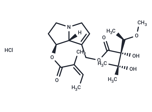 Lasiocarpine HCl