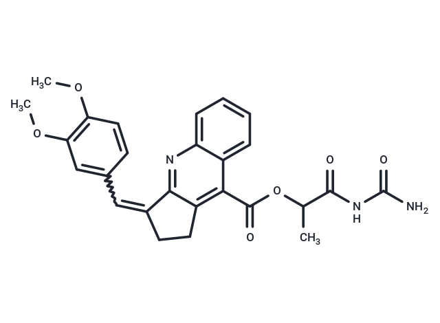 EBOV-IN-C31