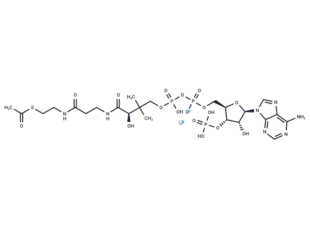 Acetyl coenzyme A lithium