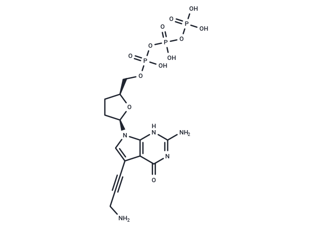 7-Deaza-7-propargylamino-ddGTP