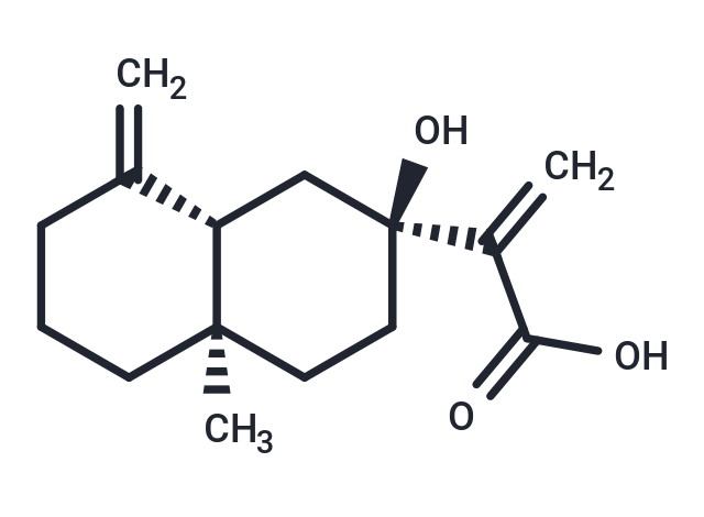 7-Hydroxy--costic acid