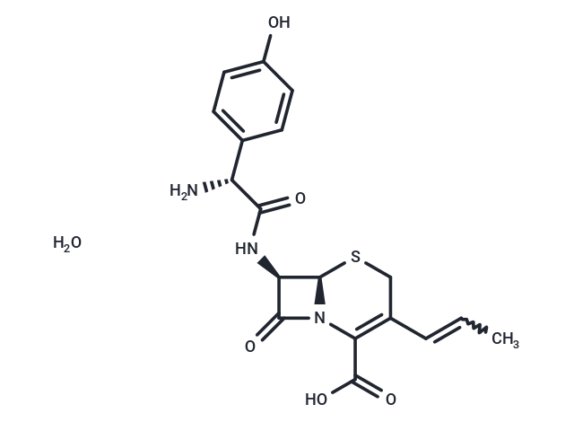 Cefprozil monohydrate