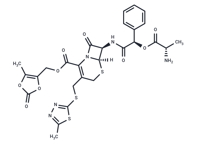 Cefcanel daloxate