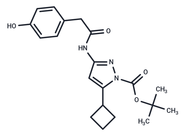 CDK9-IN-11