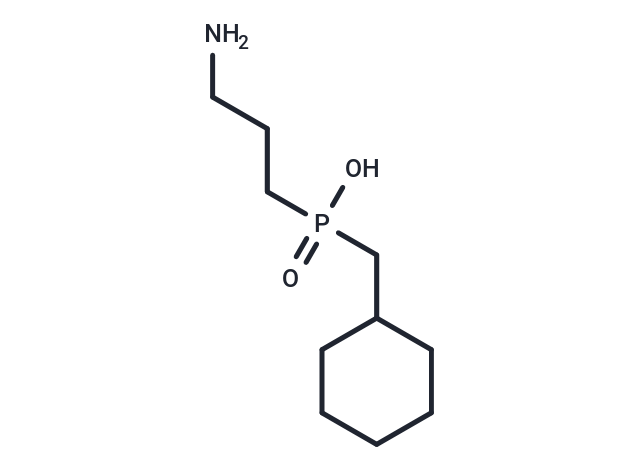 CGP 46381