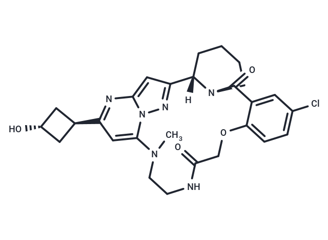 RSV-IN-2