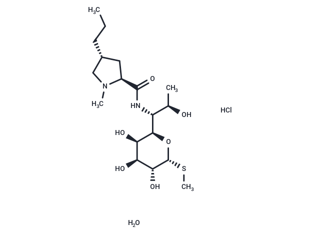 Lincomycin hydrochloride monohydrate