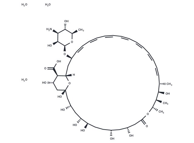 Amphotericin B trihydrate