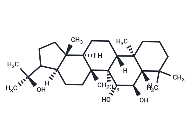 Nephrin