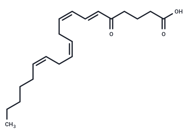 5-OxoETE