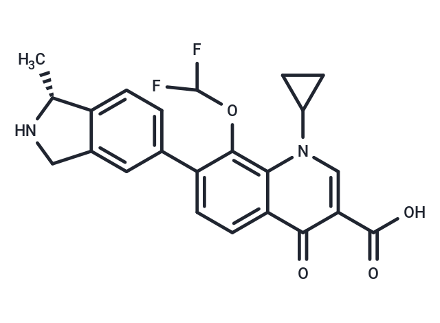 Garenoxacin