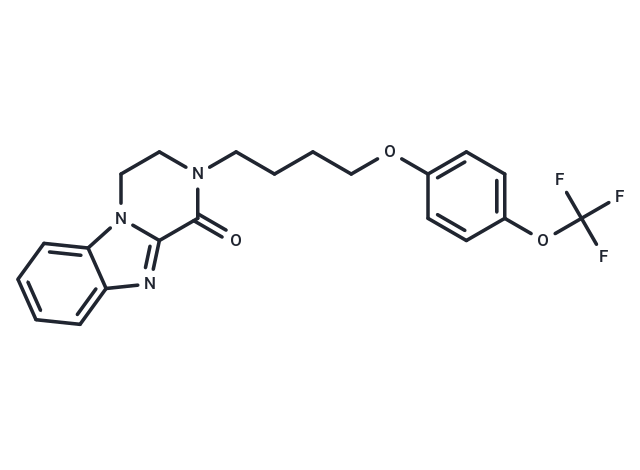 mGluR2 modulator 1