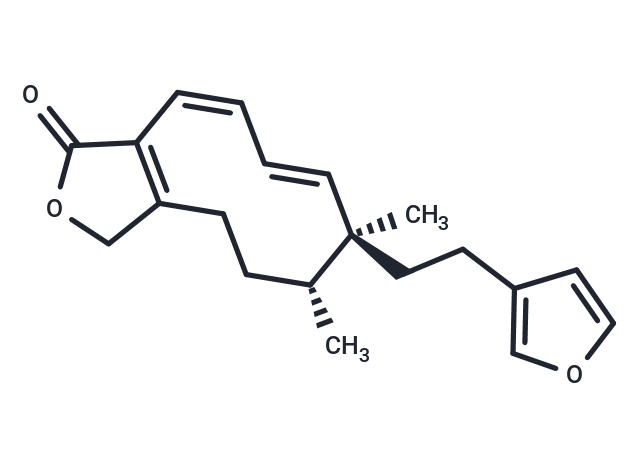 Dodonolide