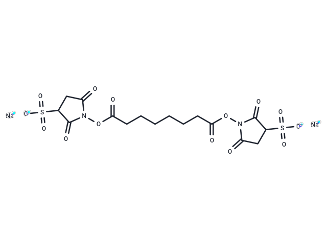 BS3 Crosslinker disodium