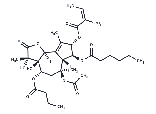 Thapsigargicin