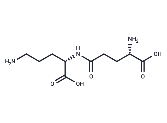 gamma-Glutamylornithine