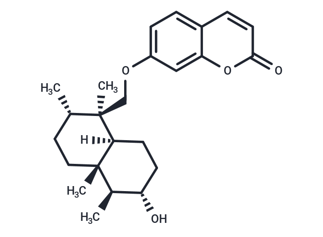 Kamolol