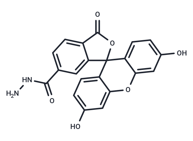 FAM hydrazide, 6-isomer