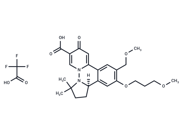 HBV-IN-19 TFA