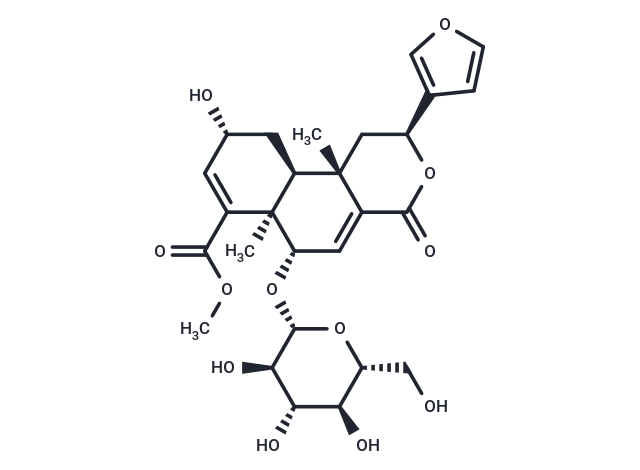 Dehydroborapetoside B