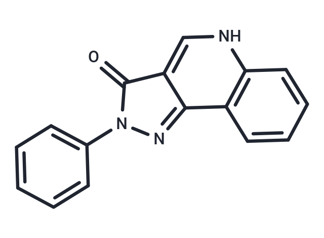 CGS8216