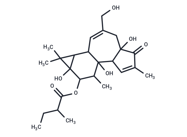 (Rac)-Phorbol-12-(2-methylbutyrate)