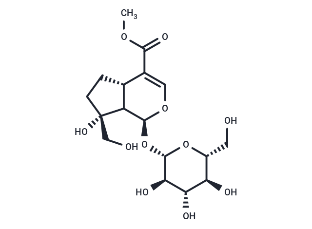 Splendoside