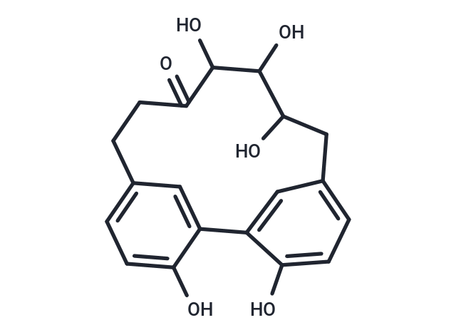 Carpinontriol B