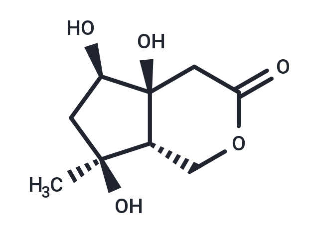 Buergerinin B