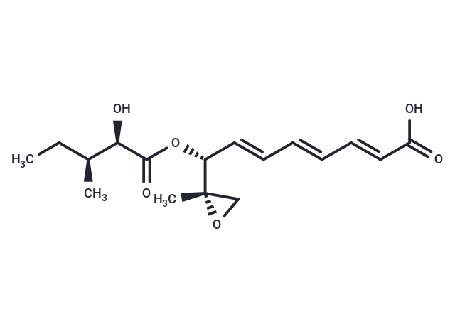 Toxin IIc