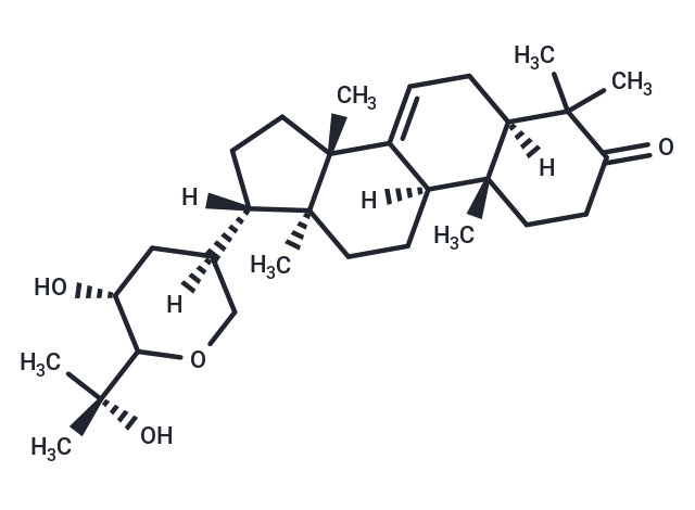 Bourjotinolone A