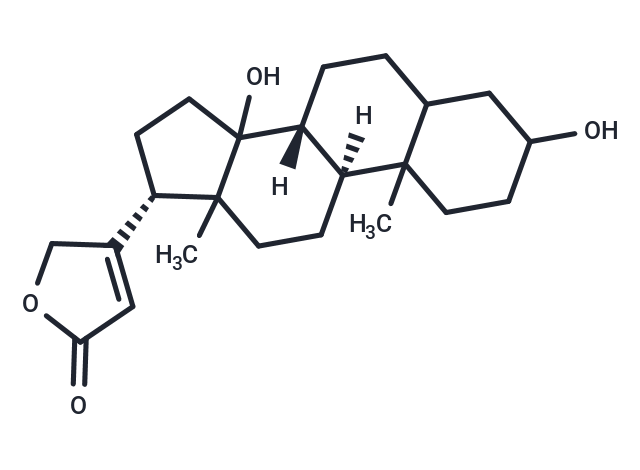 Compound 0449-0104