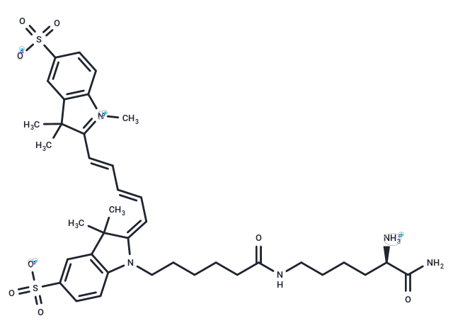 sCy5DL-amide