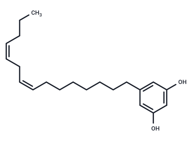 Cardoldiene