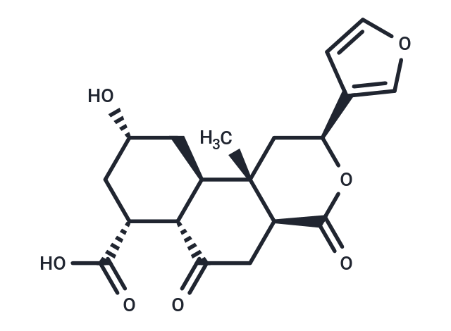 Diosbulbin L