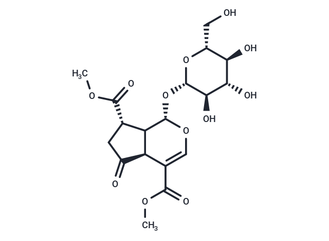 Griselinoside