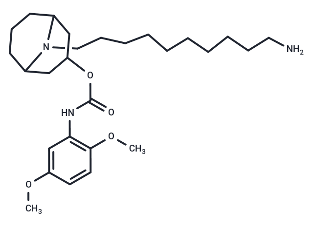 SW43