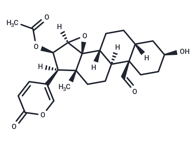 19-Oxocinobufagin