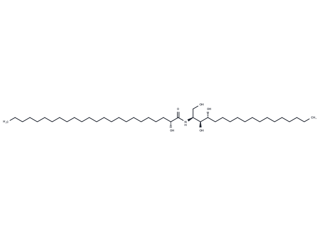 Elasticamide