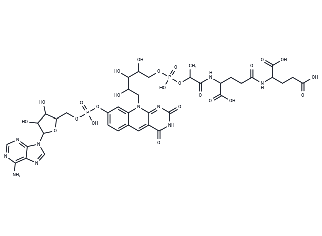 Factor 390 A