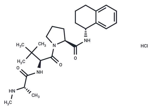 SW IV-52