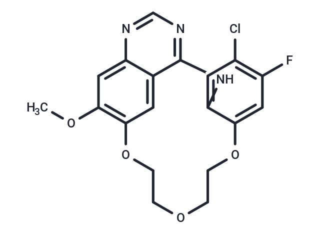 EGFR-IN-73