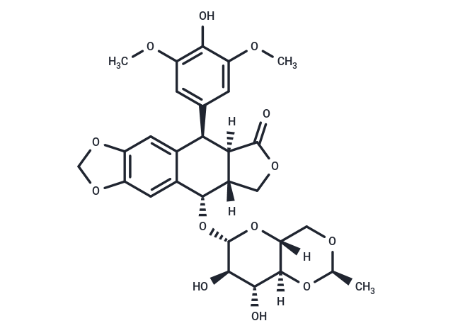 Etoposide