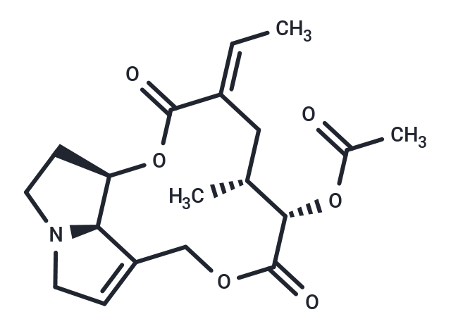 Crotastriatine