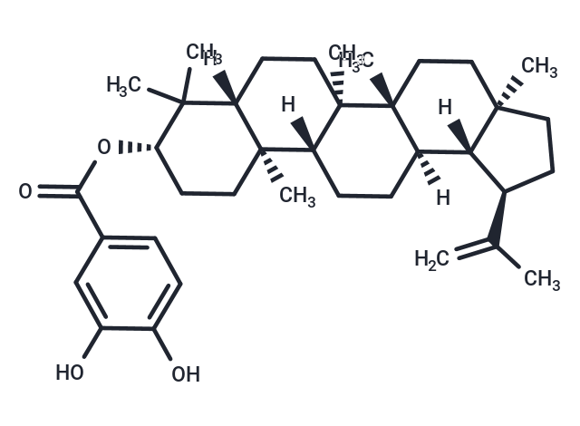 3,4-Dihydroxybenzoyllupeol