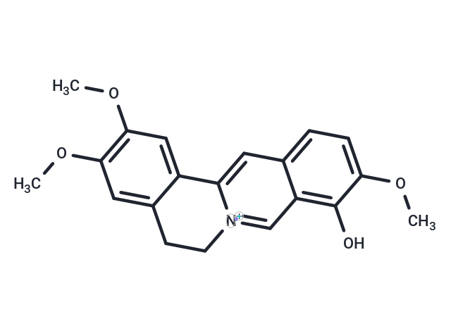 Palmaturbine