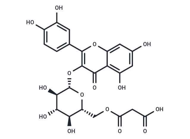 Quercetin 3-O-(6-O-malonyl)-b-D-glucoside