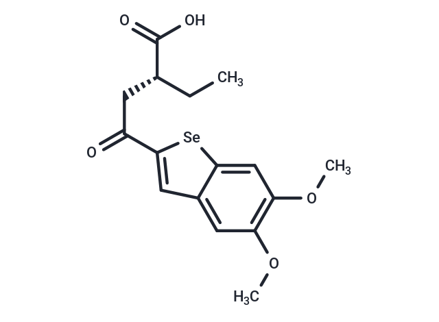 BSP16